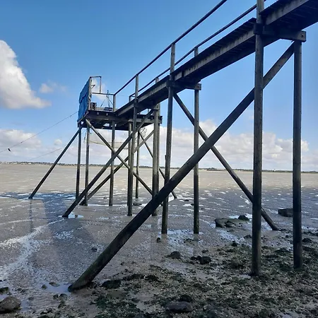 Maison 3 Etoiles A 50m Plages Iles Nature Piscine Chauffee Jacuzzi Prive Wifi Feriehus